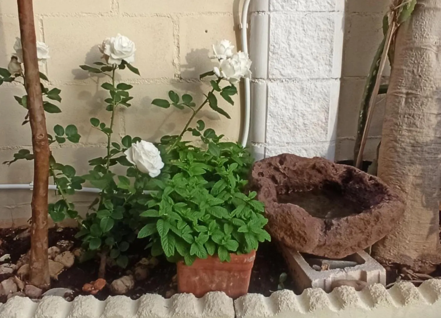 El Rincon De Triana Apartment Almeria
